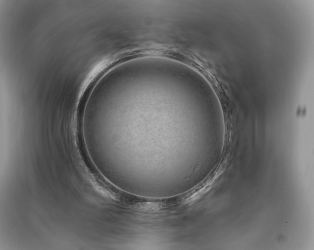 X0000091210102200708091355