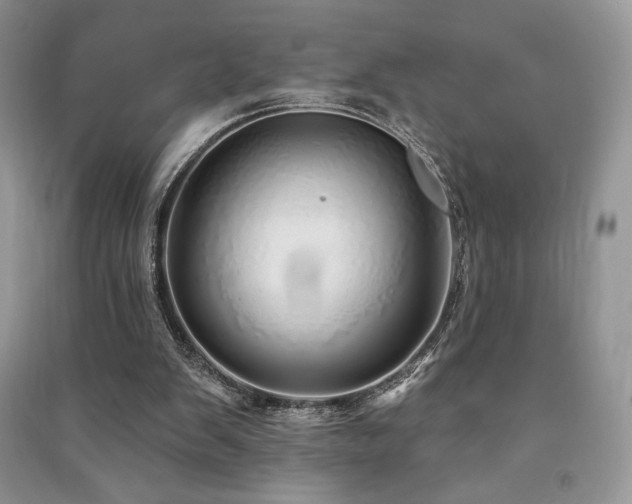 X0000091210103200708091355