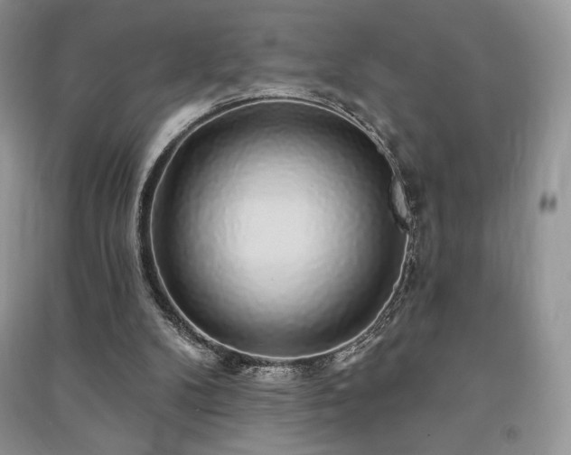 X0000091210104200708091355