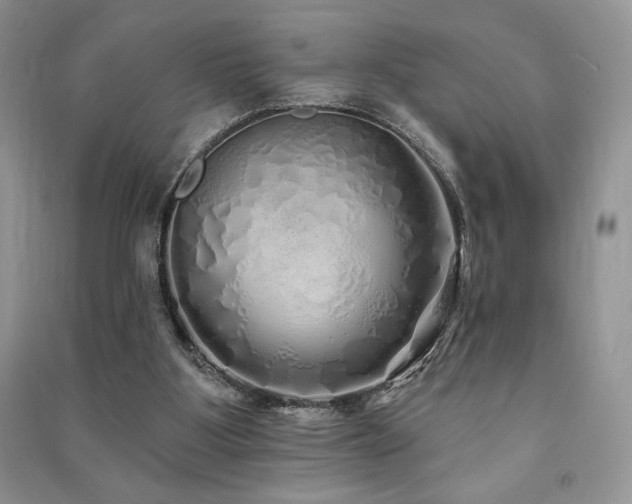 X0000091210107200708091355