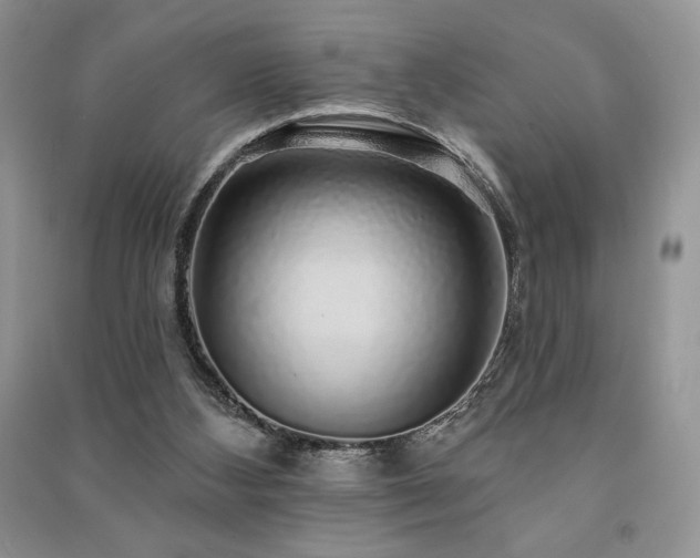 X0000091210108200708091355