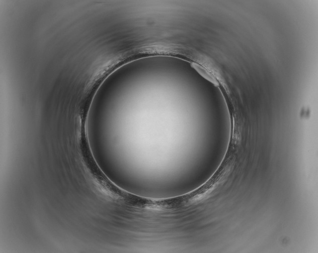 X0000091210109200708091355