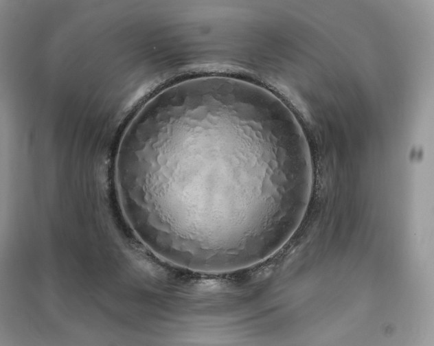 X0000091210111200708091355