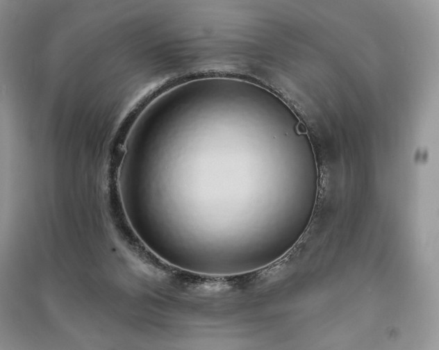 X0000091210112200708091355