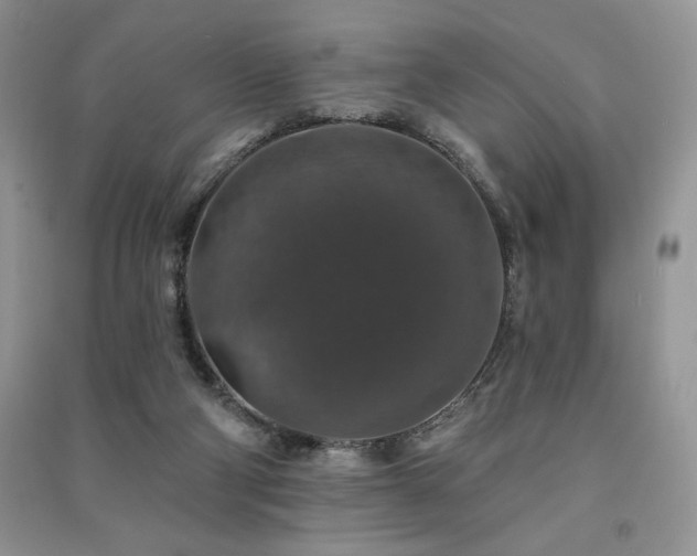 X0000091210114200708091355