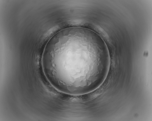 X0000091210115200708091355