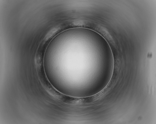 X0000091210116200708091355