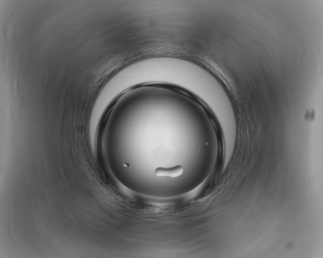 X0000091210117200708091355