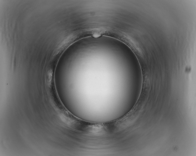 X0000091210118200708091355