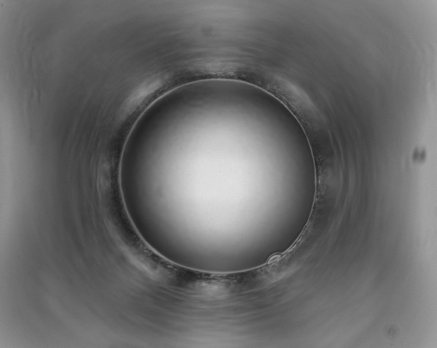 X0000091210120200708091355