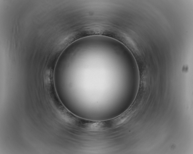 X0000091210122200708091355
