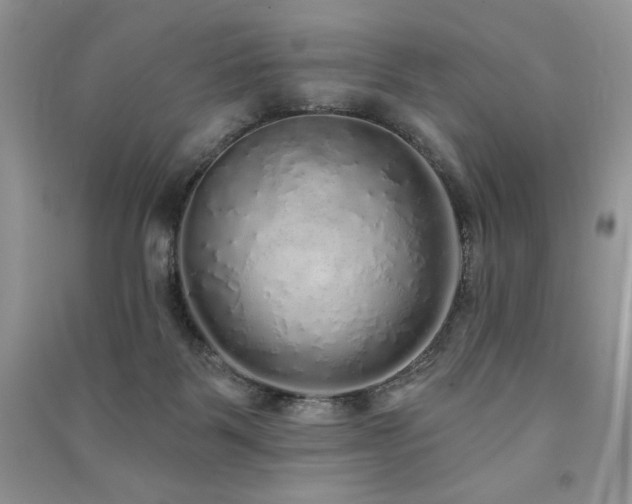 X0000091210123200708091355
