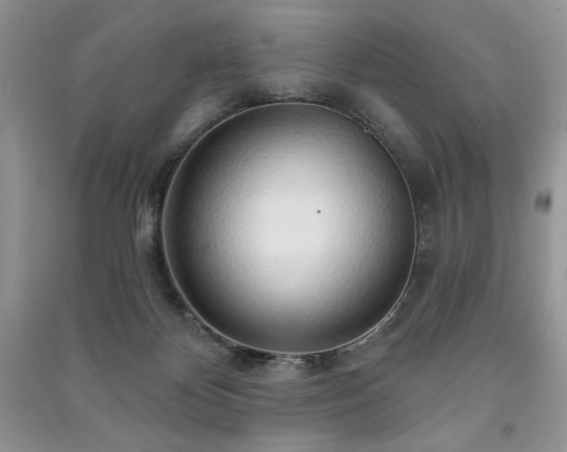 X0000091210124200708091355