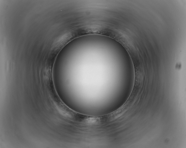 X0000091210126200708091355