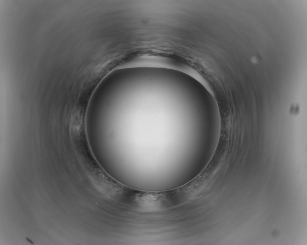 X0000091210129200708091355
