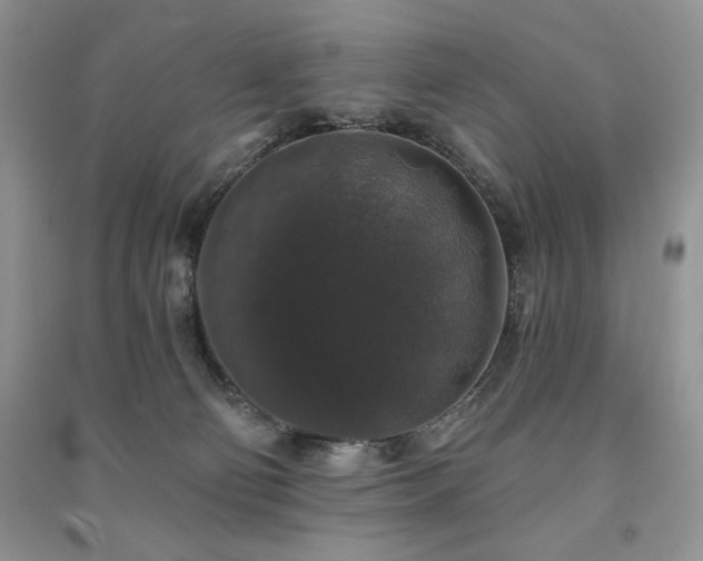X0000091210130200708091355