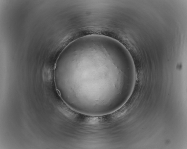 X0000091210131200708091355