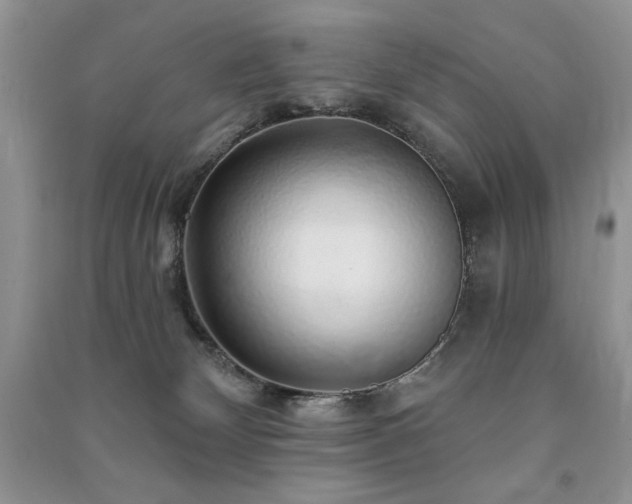 X0000091210132200708091355