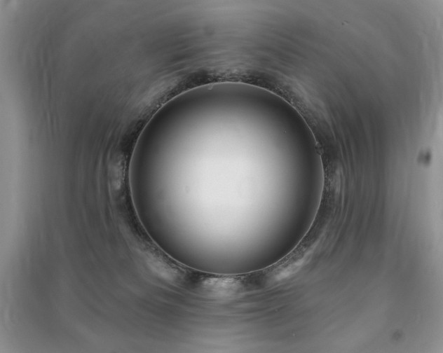 X0000091210133200708091355