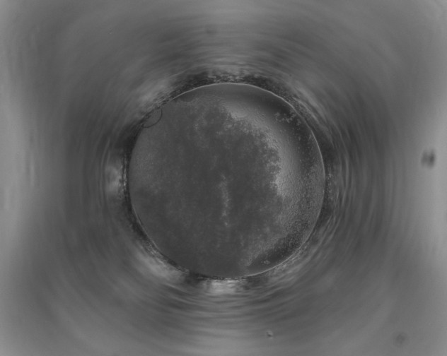 X0000091210134200708091355