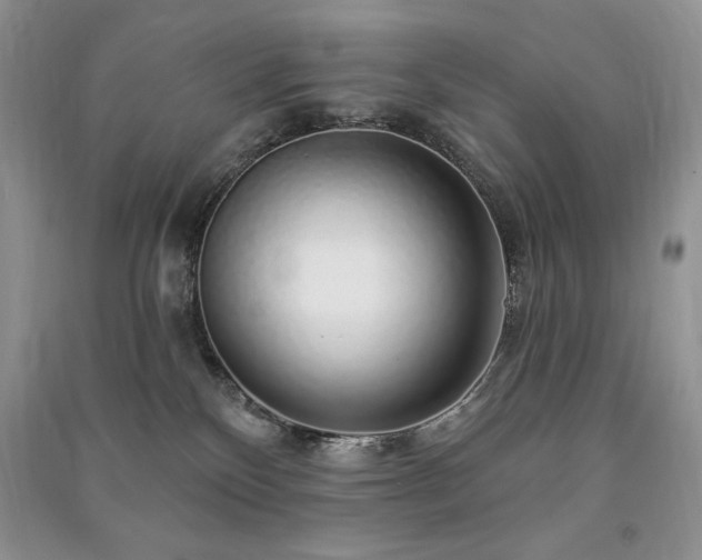 X0000091210136200708091355
