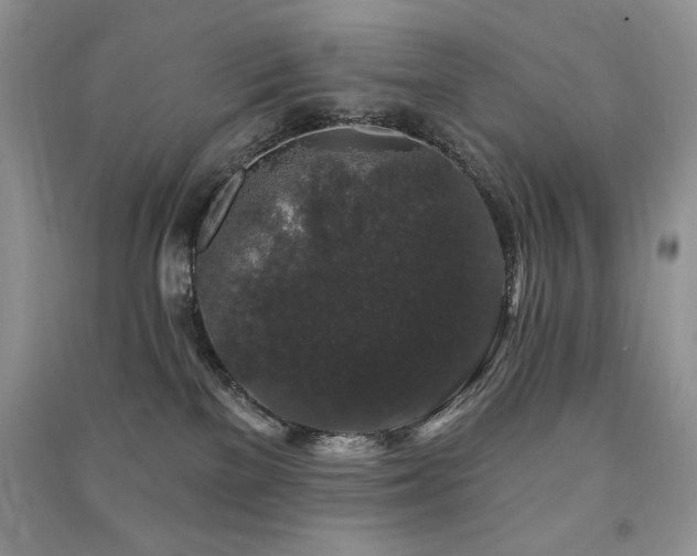 X0000091210137200708091355