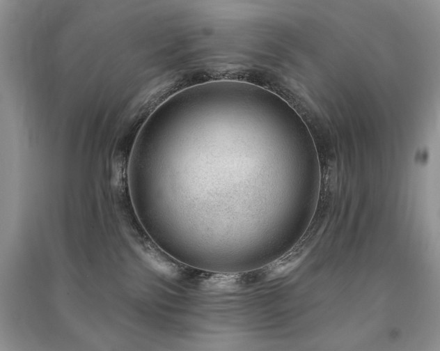 X0000091210138200708091355