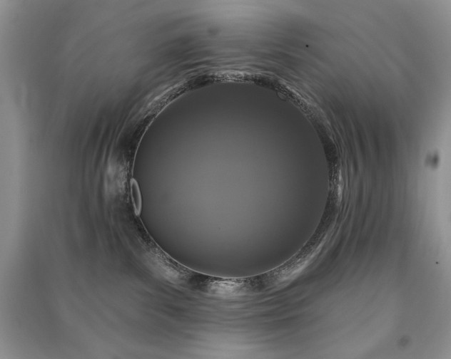 X0000091210139200708091355