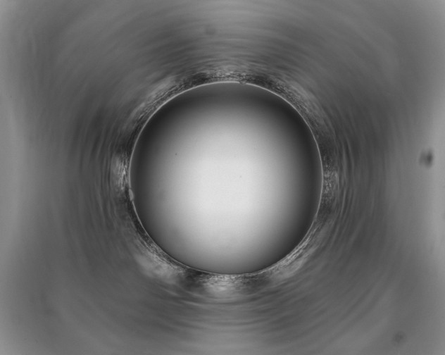 X0000091210142200708091355