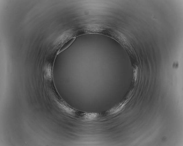 X0000091210143200708091355
