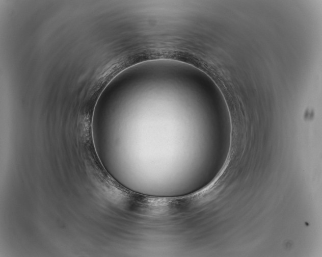 X0000091210144200708091355