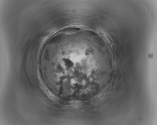 X0000091210145200708091354