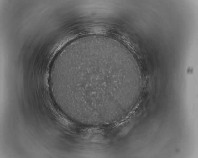 X0000091210146200708091354