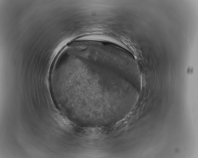 X0000091210147200708091354