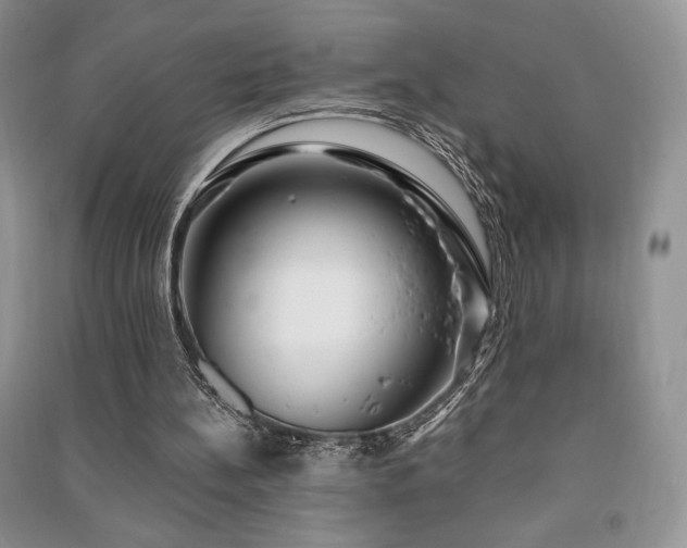 X0000091210148200708091354