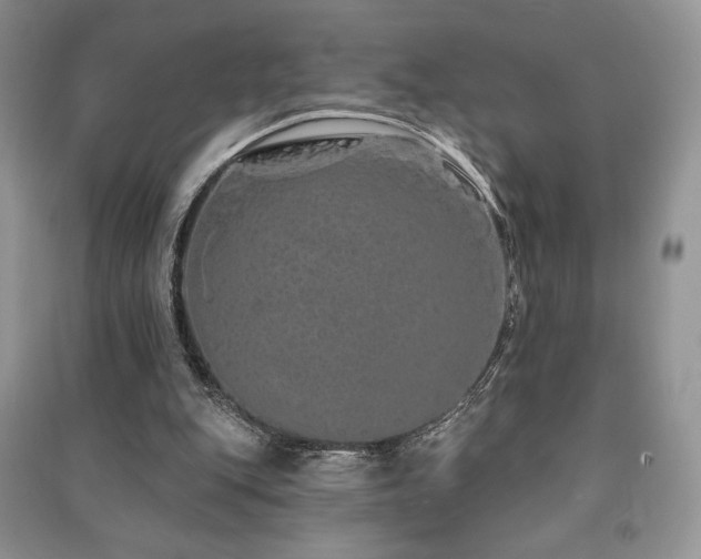 X0000091210151200708091354