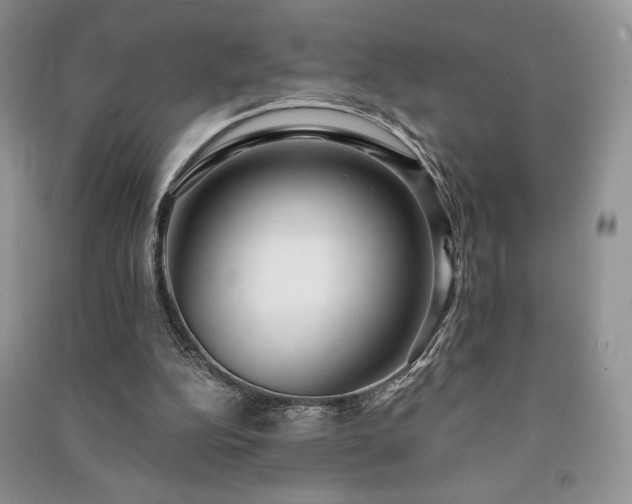X0000091210152200708091354