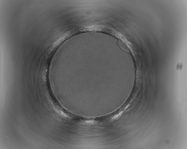 X0000091210153200708091354