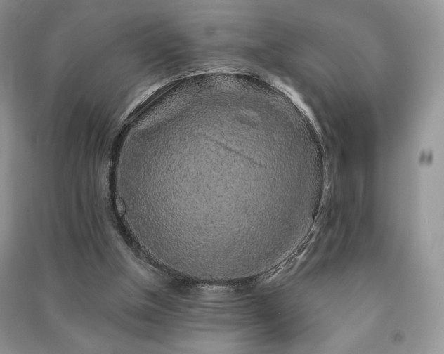 X0000091210154200708091354
