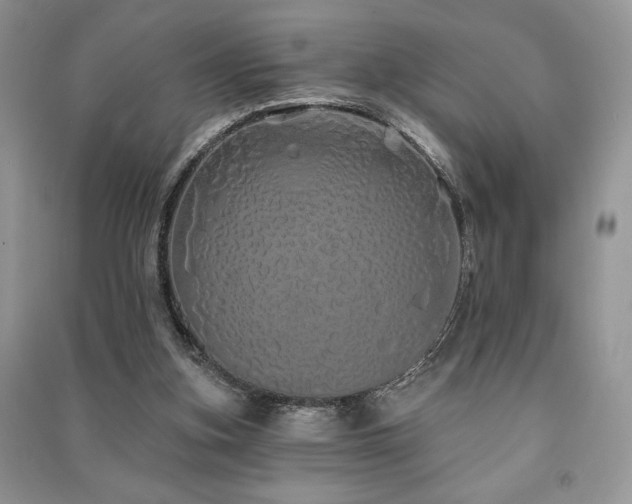 X0000091210155200708091354