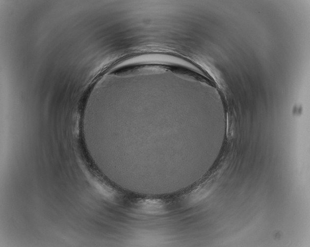 X0000091210157200708091354