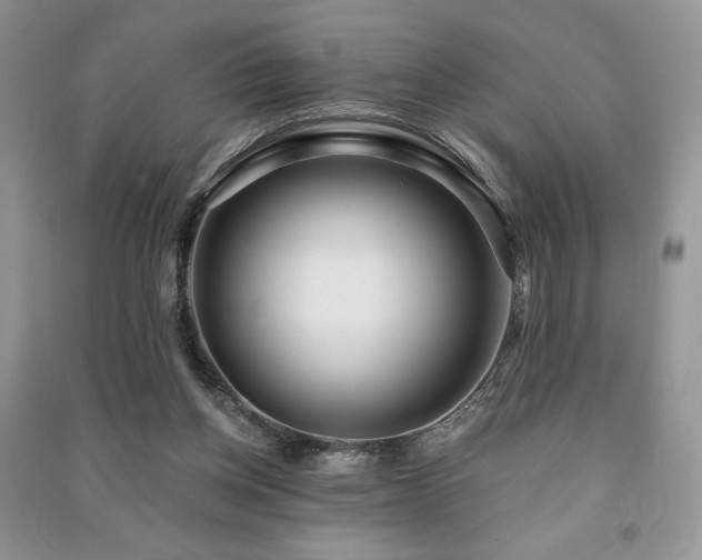 X0000091210158200708091354