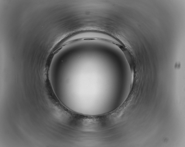 X0000091210160200708091354