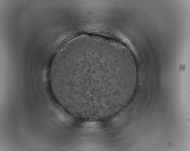 X0000091210161200708091354