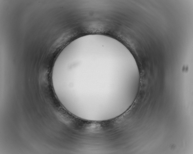 X0000091210162200708091354