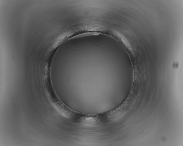 X0000091210163200708091354