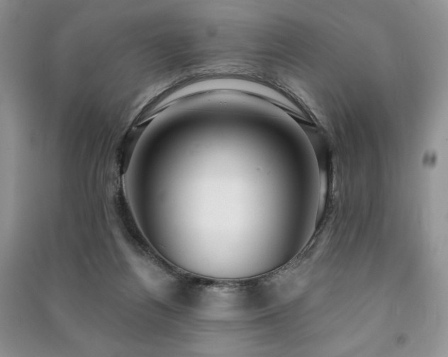 X0000091210164200708091354