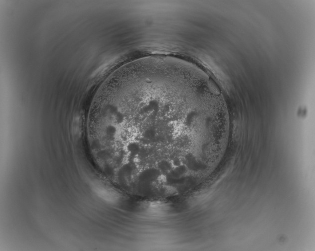 X0000091210165200708091354