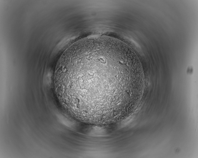 X0000091210166200708091354