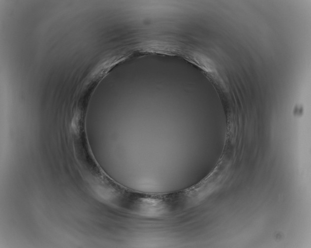 X0000091210167200708091354